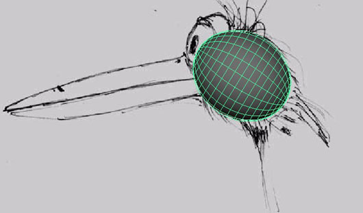 MAYA建模教程:MAYA鳥(niǎo)類(lèi)建模