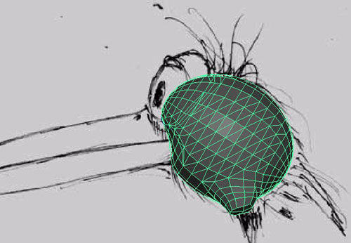 MAYA建模教程:MAYA鳥(niǎo)類(lèi)建模